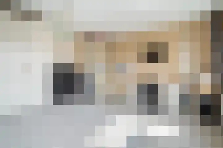 Eendenkooi 79 Alphen aan den Rijn thumbnail 36