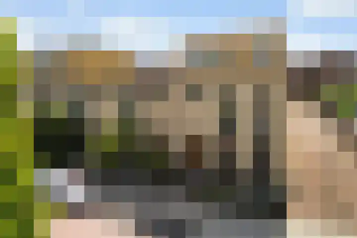 Eendenkooi 79 Alphen aan den Rijn thumbnail 4