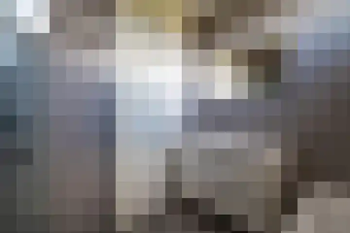 Eendenkooi 79 Alphen aan den Rijn thumbnail 40