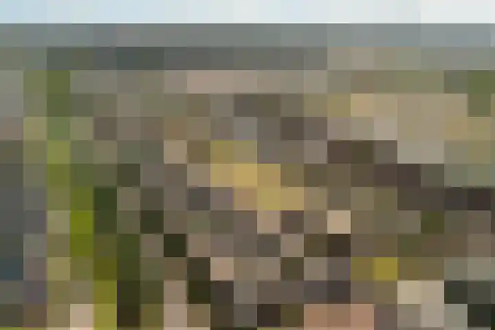 Eendenkooi 79 Alphen aan den Rijn thumbnail 47