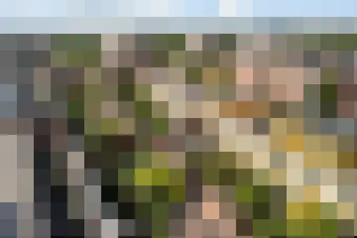 Eendenkooi 79 Alphen aan den Rijn thumbnail 48