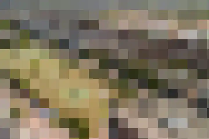 Eendenkooi 79 Alphen aan den Rijn thumbnail 49