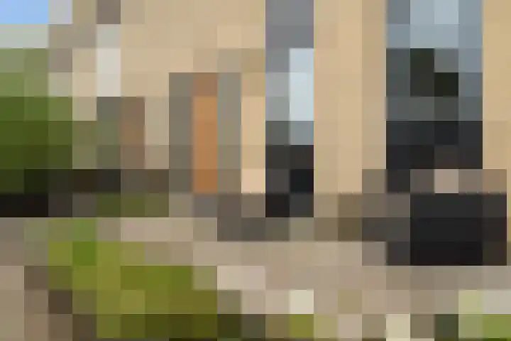 Eendenkooi 79 Alphen aan den Rijn thumbnail 5