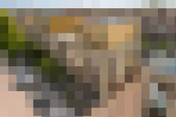 Eendenkooi 79 Alphen aan den Rijn thumbnail 8