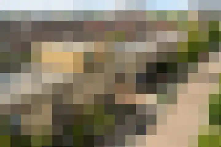 Eendenkooi 79 Alphen aan den Rijn thumbnail 9