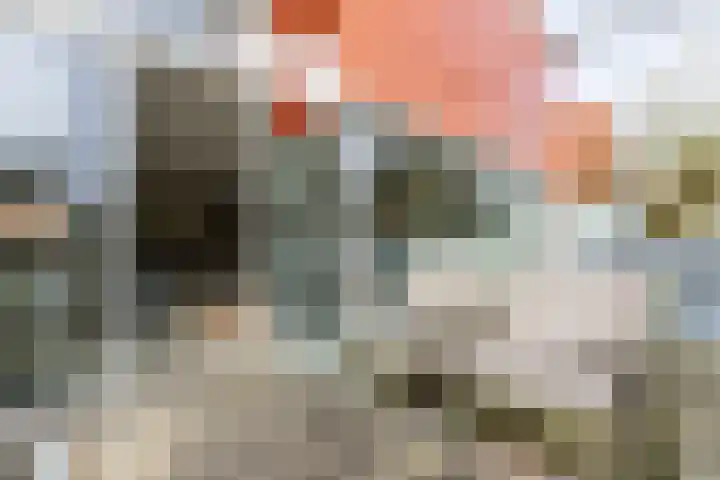 Eendenkooistraat 14 Haarlem thumbnail 11