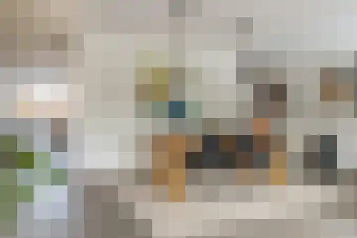 Eendenkooistraat 14 Haarlem thumbnail 17