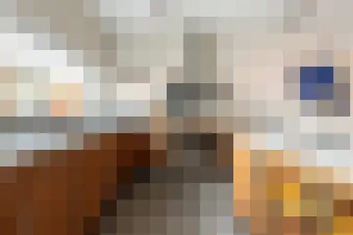 Eendenkooistraat 14 Haarlem thumbnail 22