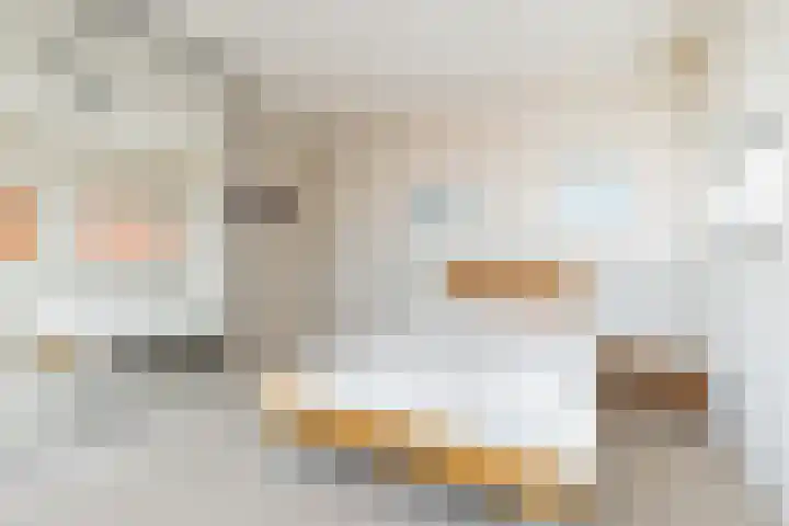 Eendenkooistraat 14 Haarlem thumbnail 31