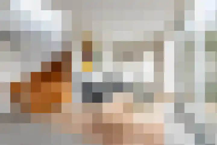 Eendenkooistraat 14 Haarlem thumbnail 33