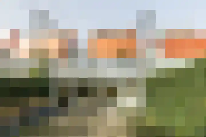 Eendenkooistraat 14 Haarlem thumbnail 39