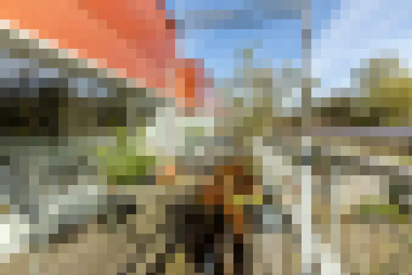 Eendenkooistraat 2 Haarlem thumbnail 17