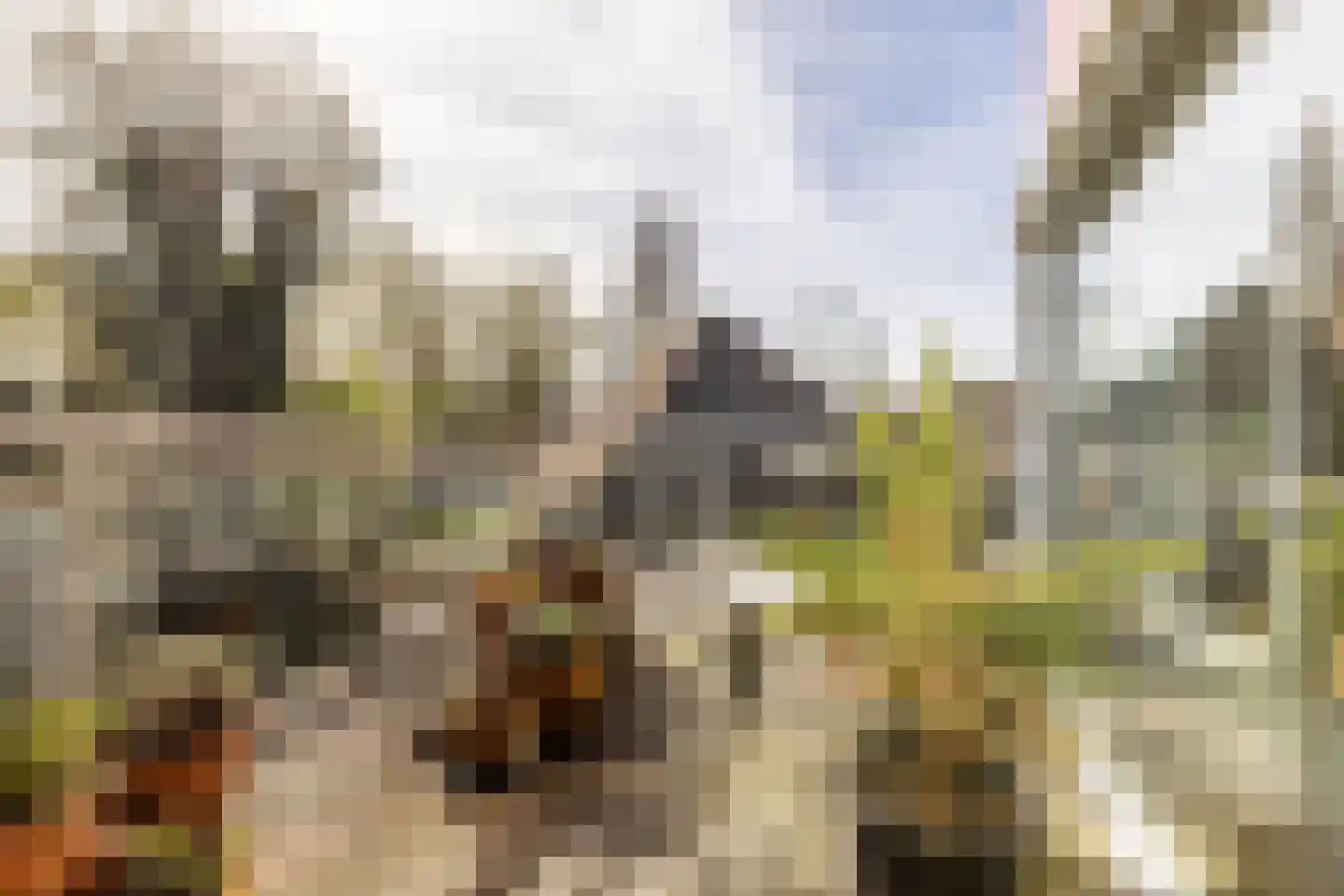 Eendenkooistraat 2 Haarlem thumbnail 18