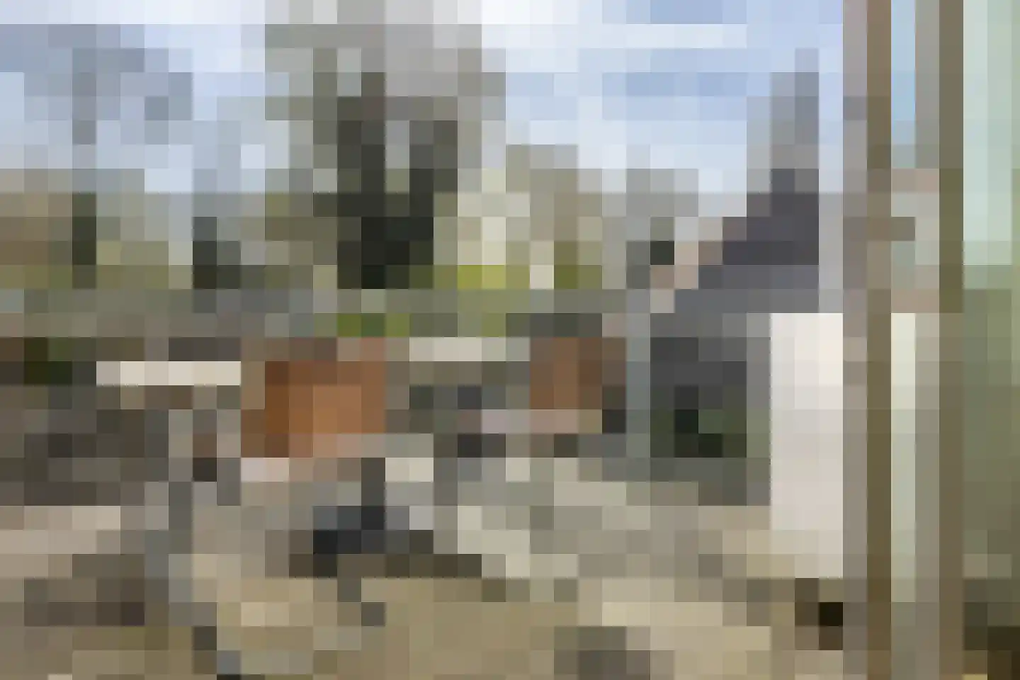 Eendenkooistraat 2 Haarlem thumbnail 19