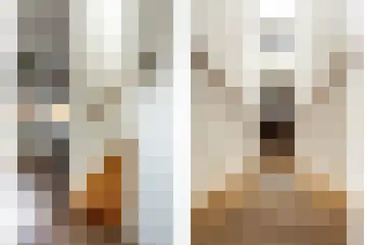Eendenkooistraat 2 Haarlem thumbnail 20