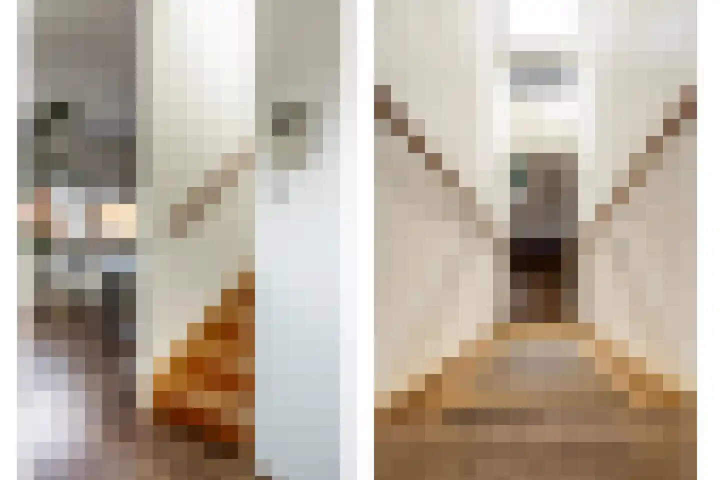 Eendenkooistraat 2 Haarlem thumbnail 20