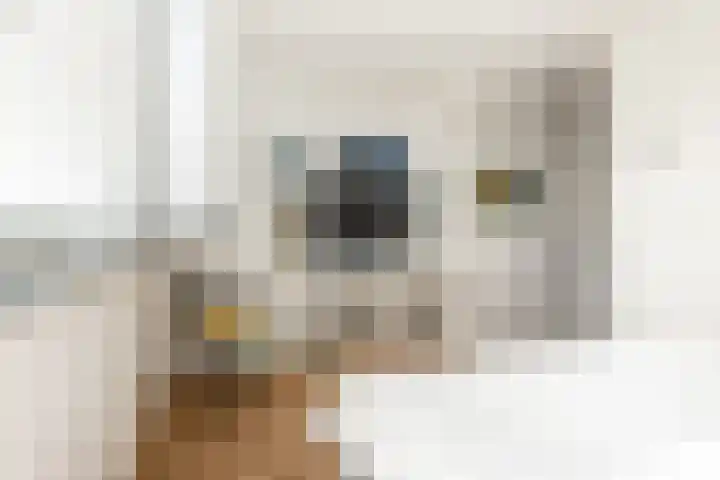 Eendenkooistraat 2 Haarlem thumbnail 23
