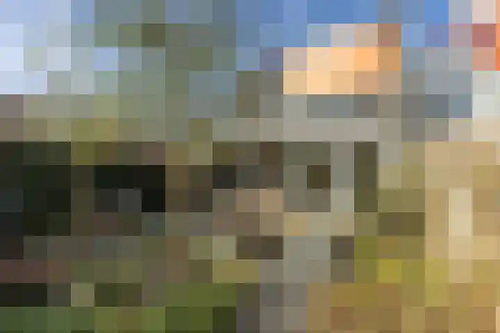 Eendenkooistraat 2 Haarlem thumbnail 31