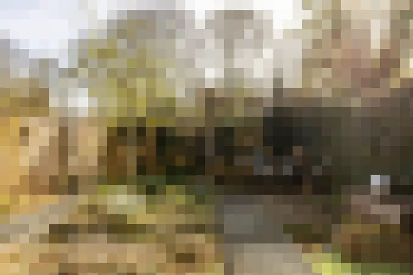 Eendenkooistraat 2 Haarlem thumbnail 32