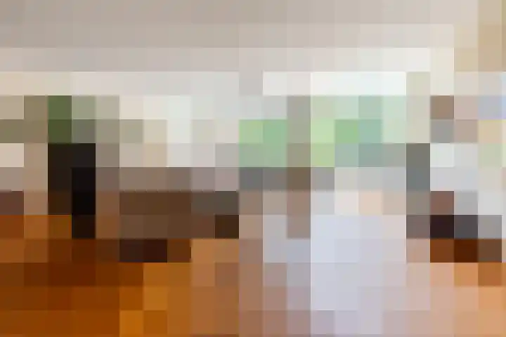 Eendenkooistraat 4 Haarlem thumbnail 18