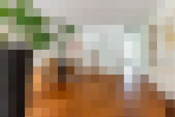 Eendenkooistraat 4 Haarlem thumbnail 19