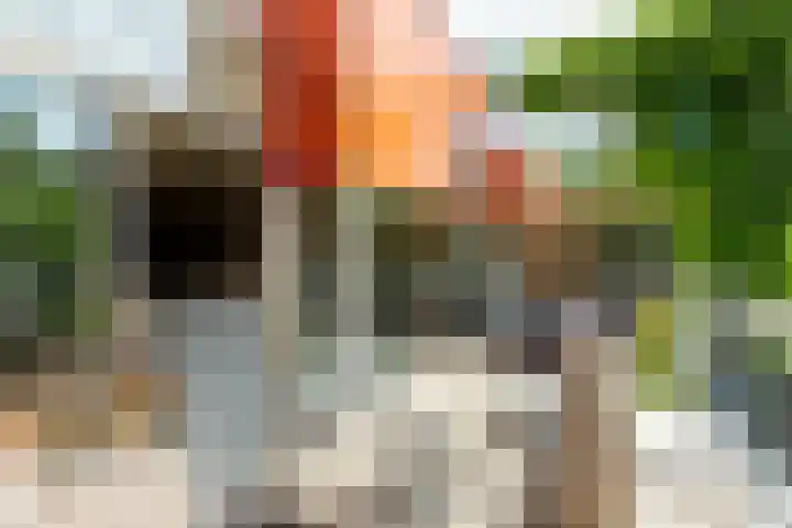 Eendenkooistraat 4 Haarlem thumbnail 25