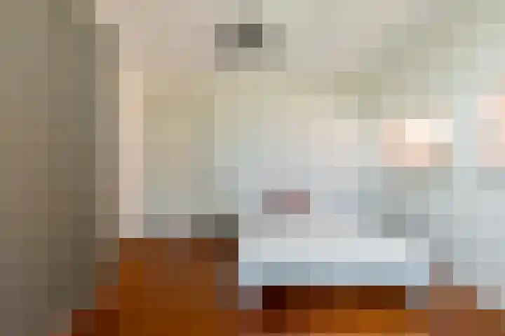 Eendenkooistraat 4 Haarlem thumbnail 29
