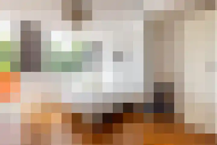 Eendenkooistraat 4 Haarlem thumbnail 35
