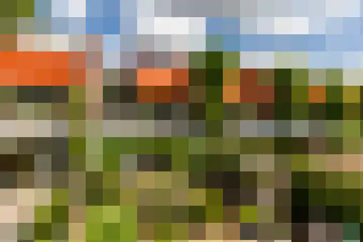 Eendenkooistraat 4 Haarlem thumbnail 41