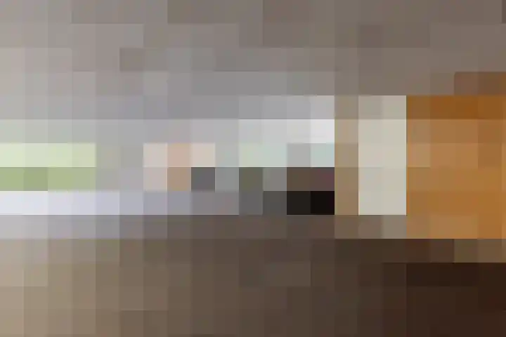 Eendenkooistraat 4 Haarlem thumbnail 5