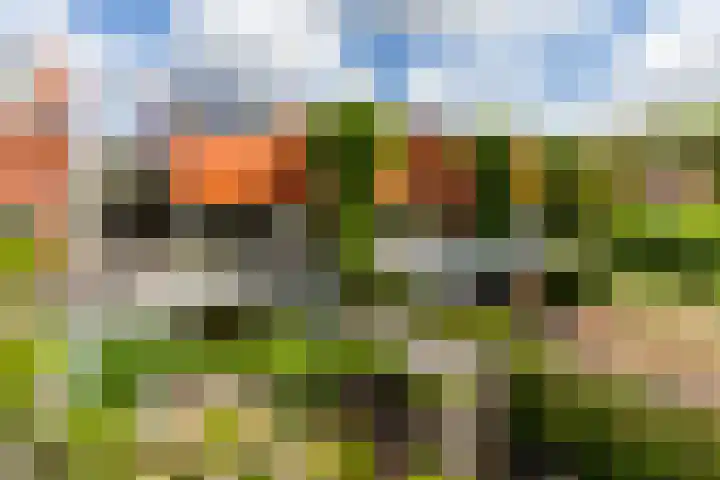 Eendenkooistraat 4 Haarlem thumbnail 53