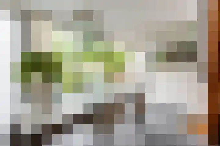 Eendenkooistraat 4 Haarlem thumbnail 7