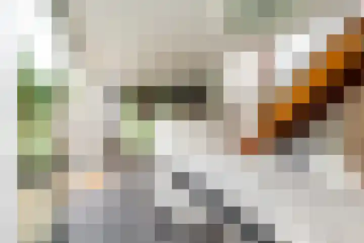 Eendenkooistraat 4 Haarlem thumbnail 8