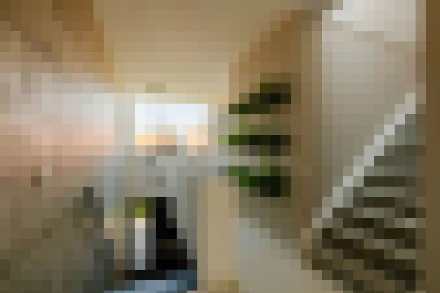 Eendenkooistraat 6 Haarlem thumbnail 10