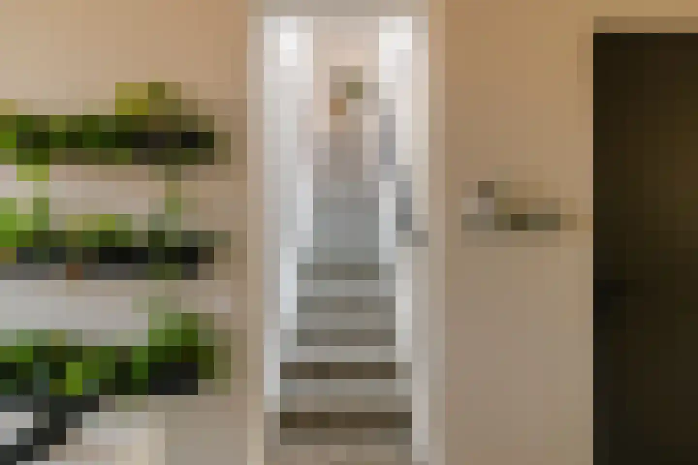 Eendenkooistraat 6 Haarlem thumbnail 11