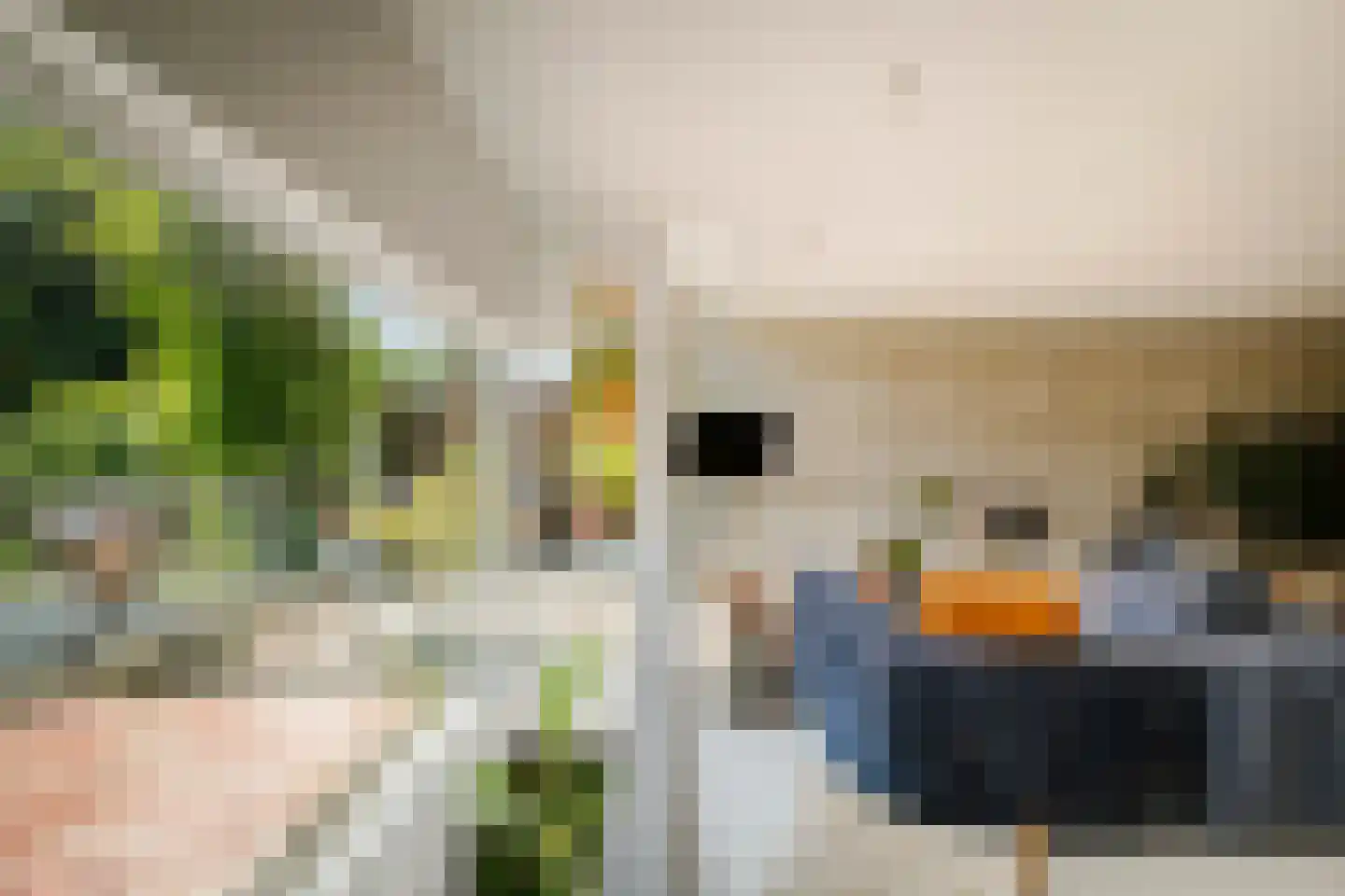 Eendenkooistraat 6 Haarlem thumbnail 17