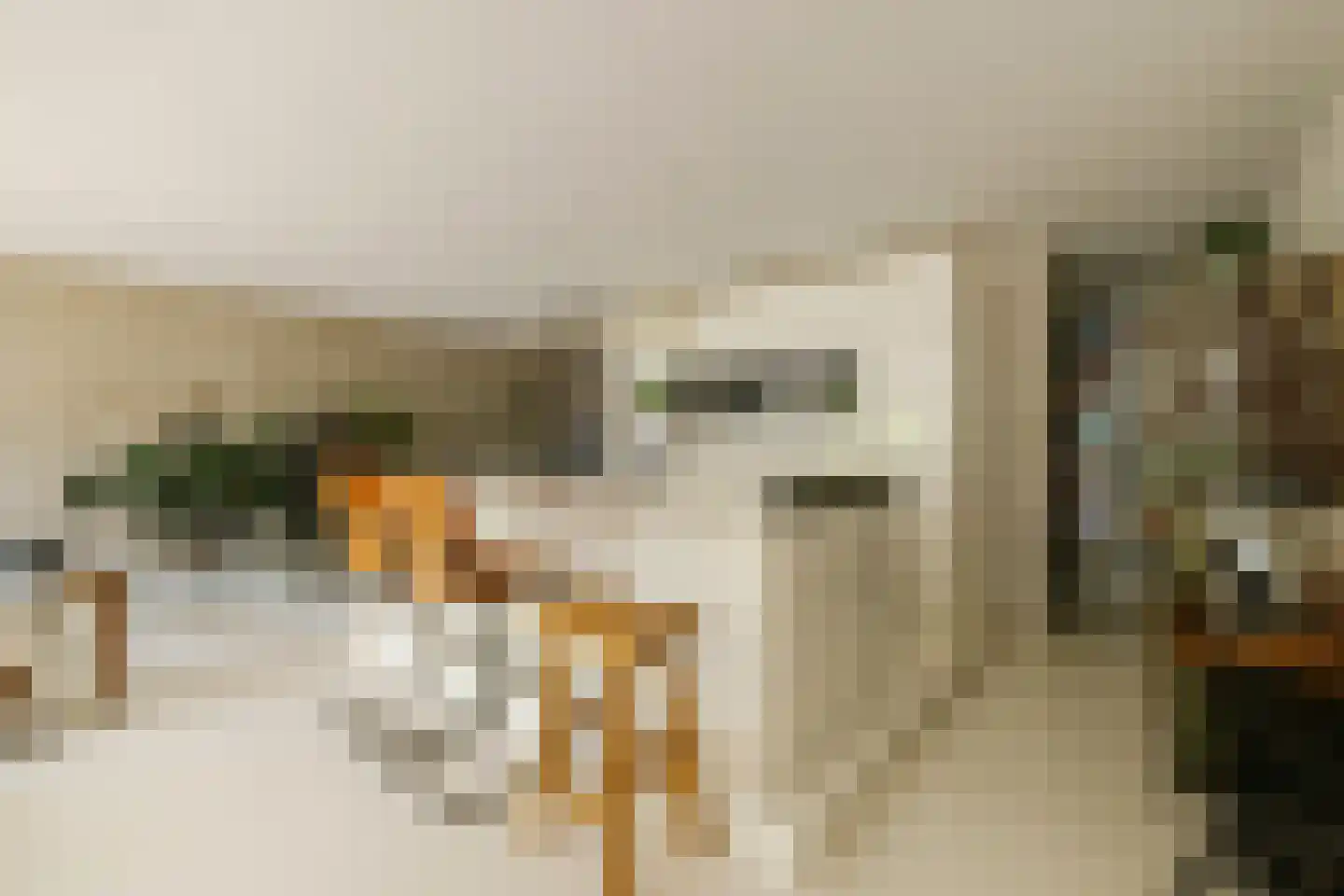 Eendenkooistraat 6 Haarlem thumbnail 19