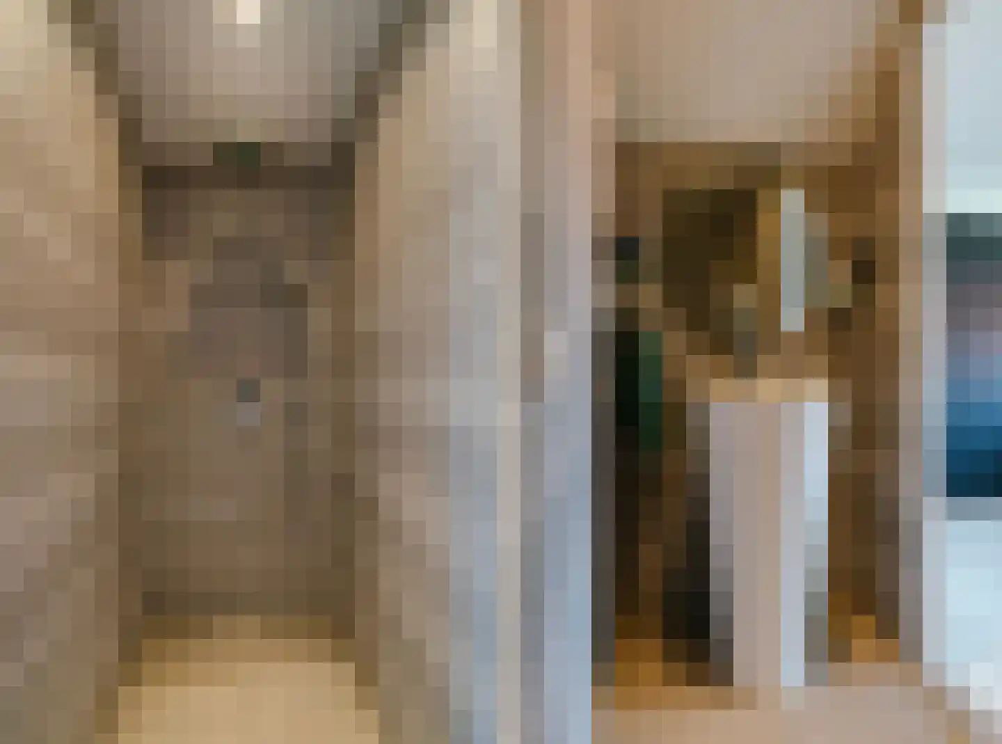 Eendenkooistraat 6 Haarlem thumbnail 34