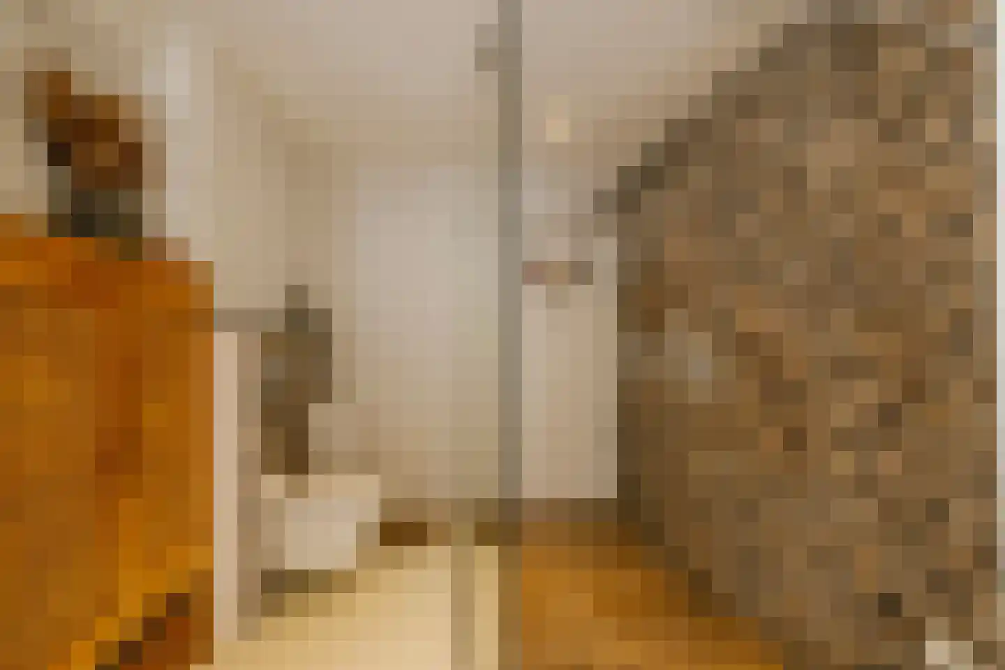 Eendenkooistraat 6 Haarlem thumbnail 39