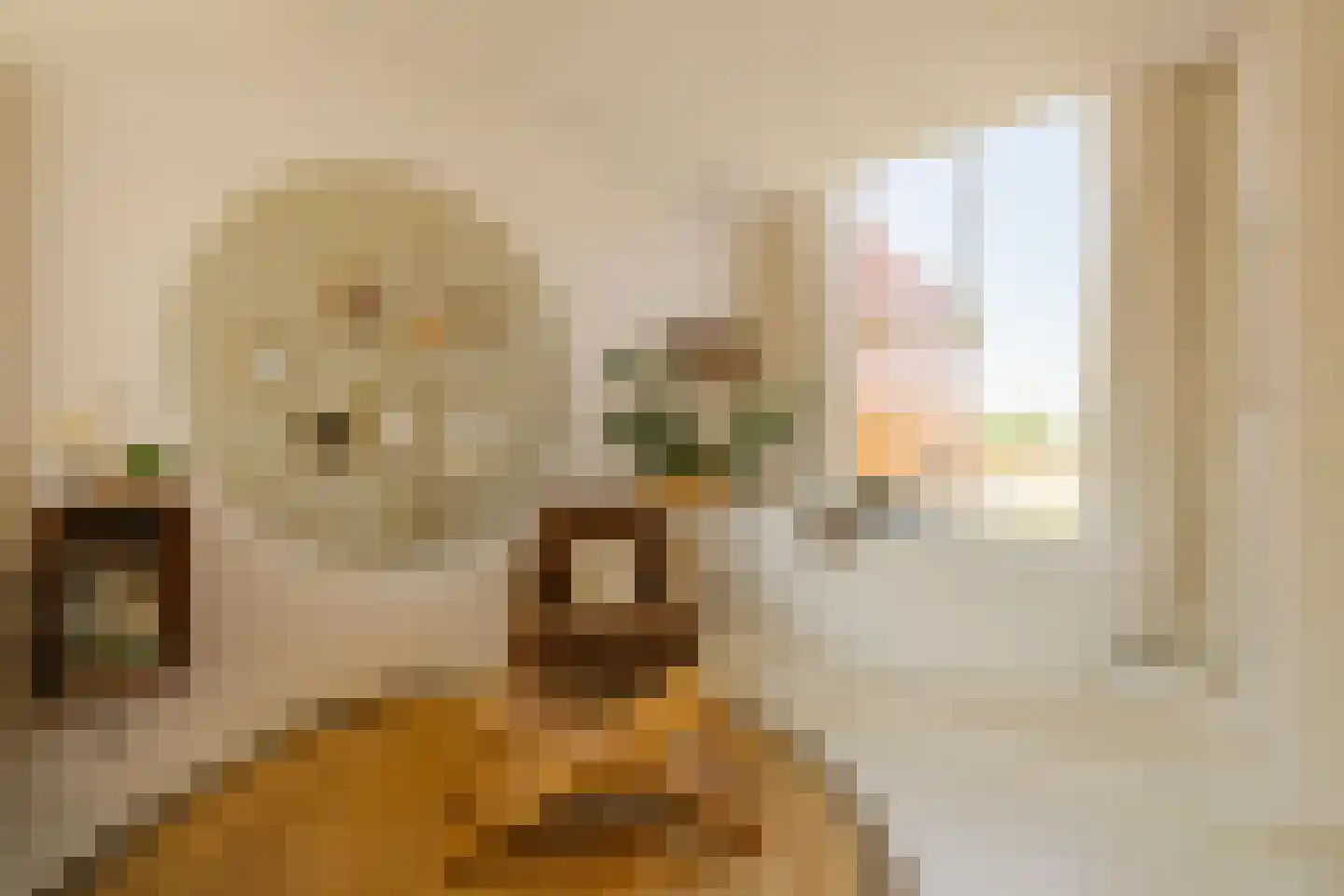 Eendenkooistraat 6 Haarlem thumbnail 41