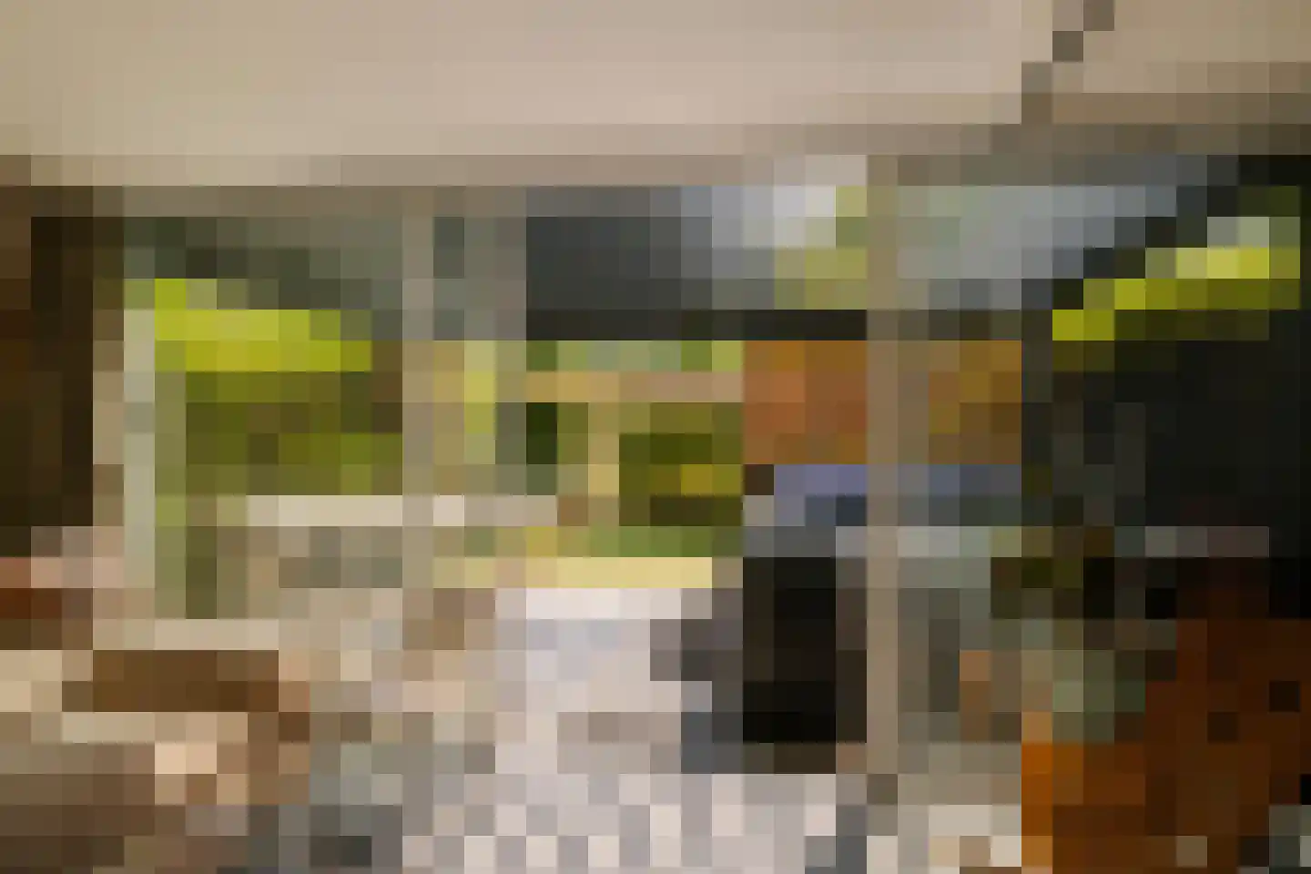 Eendenkooistraat 6 Haarlem thumbnail 54
