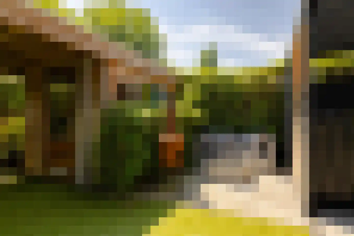 Eendenkooistraat 6 Haarlem thumbnail 58
