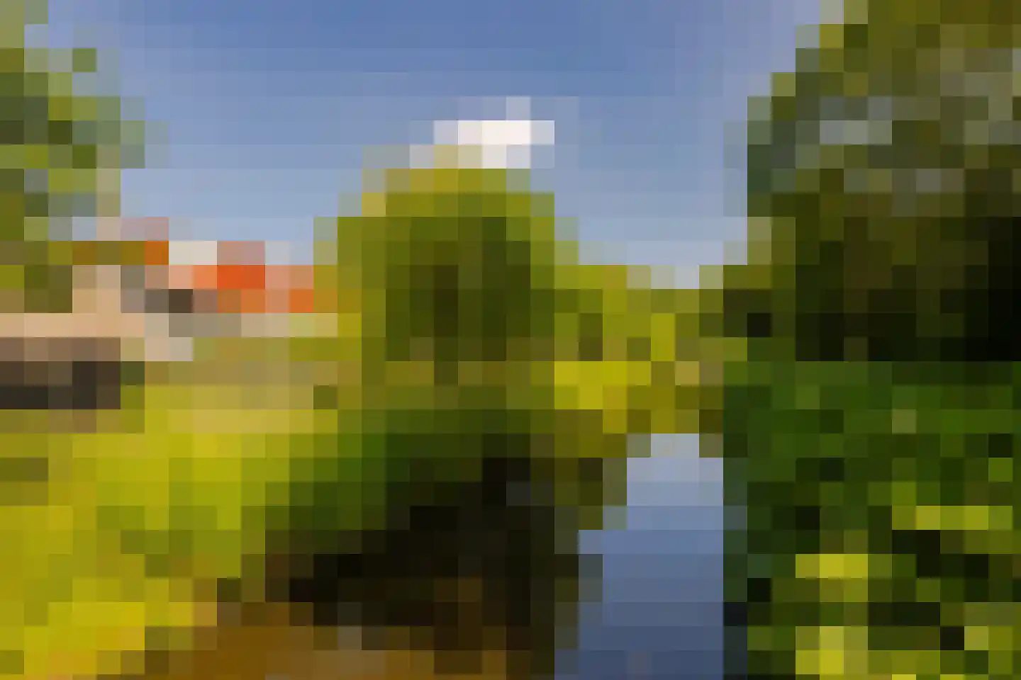 Eendenkooistraat 6 Haarlem thumbnail 62