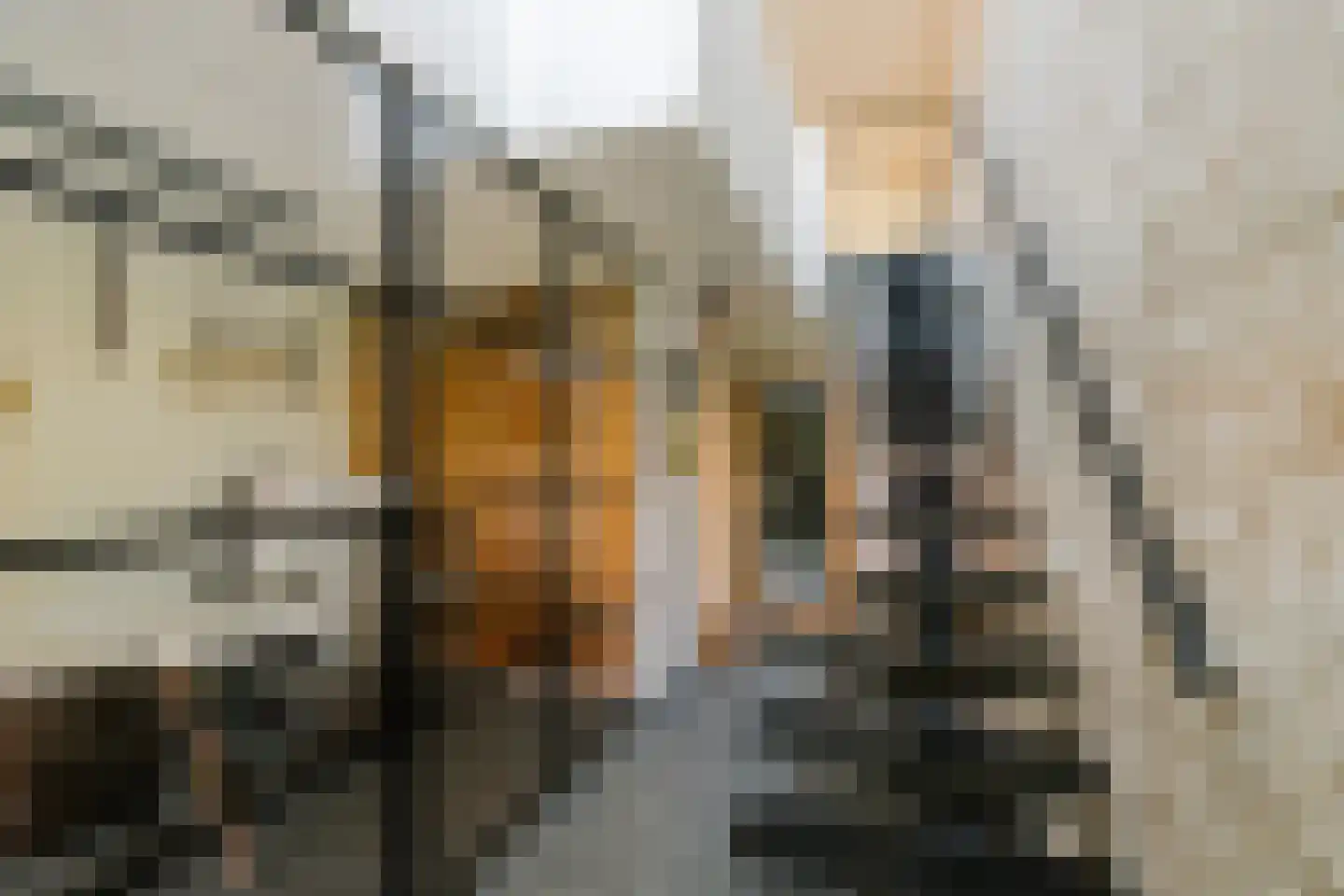 Eendenkooistraat 6 Haarlem thumbnail 8