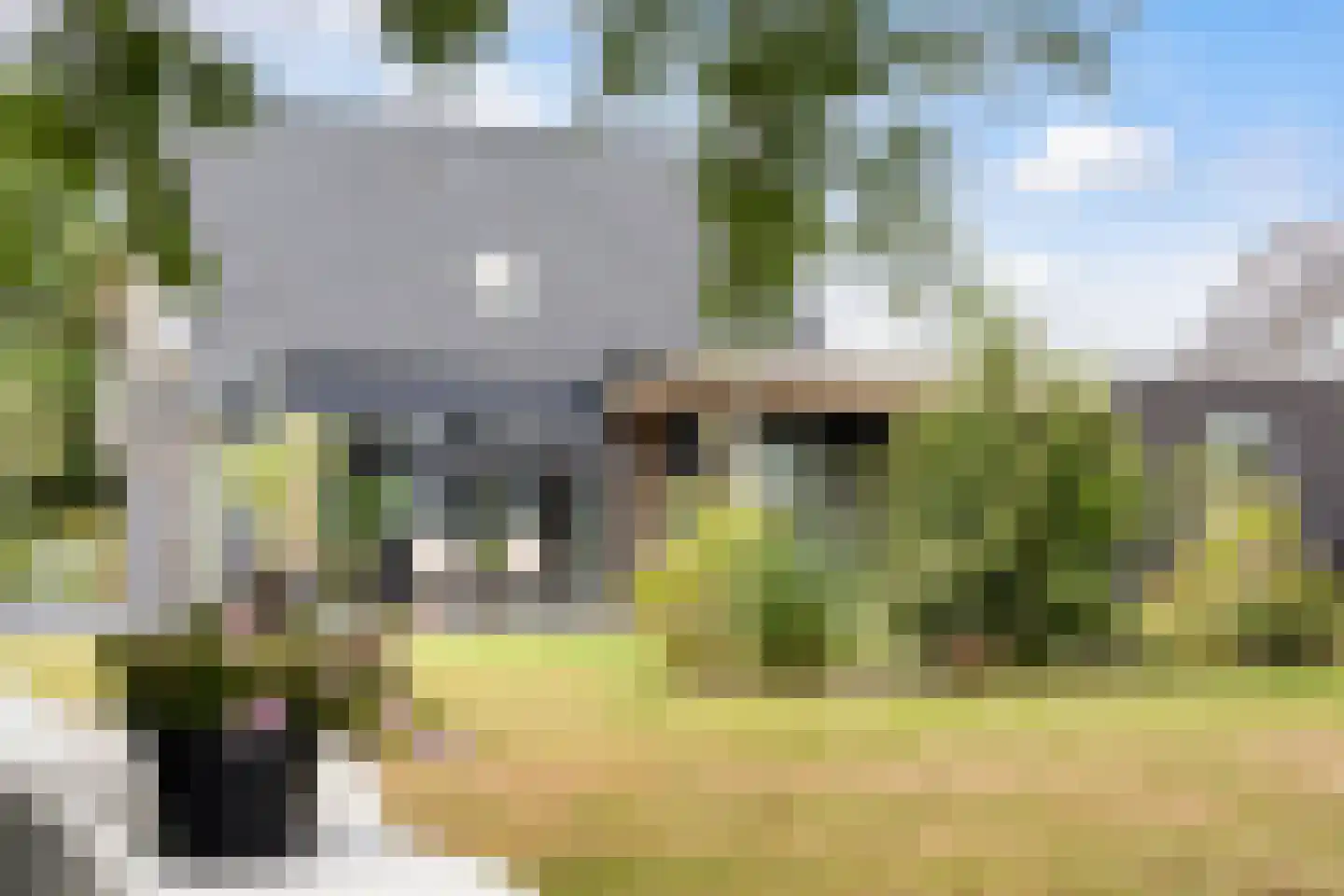 Eendenkooiweg 6 Nijbroek thumbnail 47