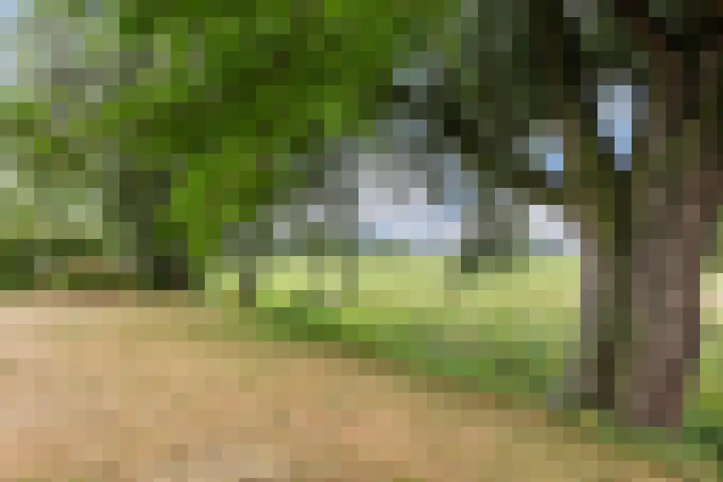 Eendenkooiweg 6 Nijbroek thumbnail 51