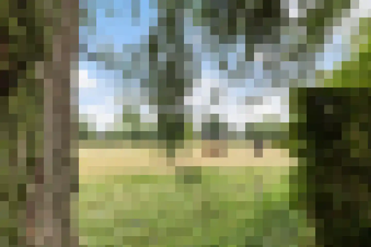 Eendenkooiweg 6 Nijbroek thumbnail 52