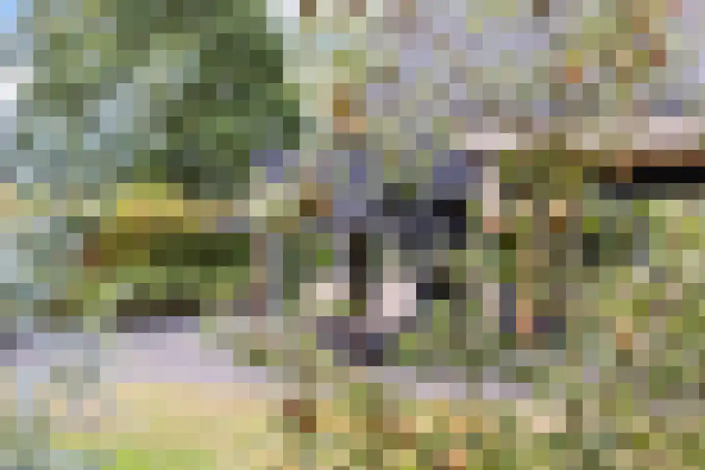 Eendenkooiweg 6 Nijbroek thumbnail 54