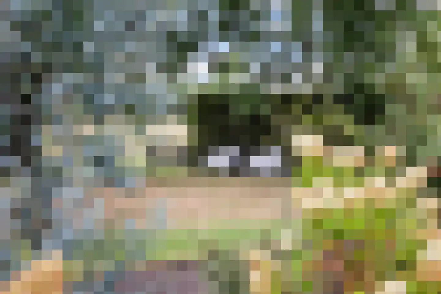 Eendenkooiweg 6 Nijbroek thumbnail 55