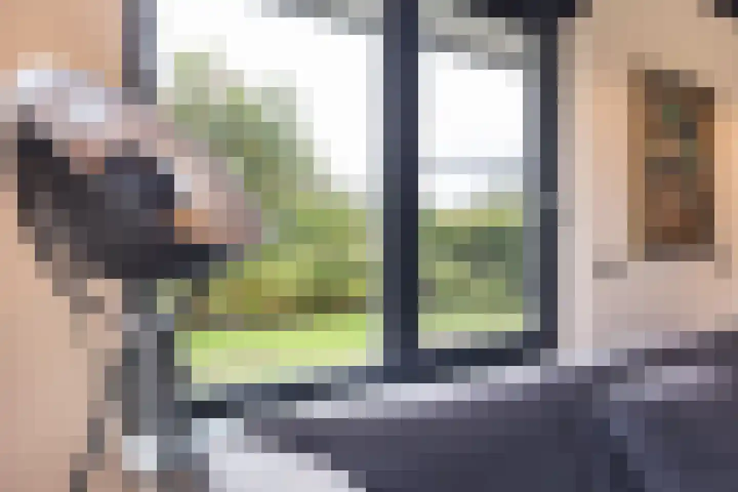 Eendenkooiweg 6 Nijbroek thumbnail 6